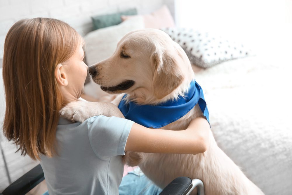 service dog hugging little girl