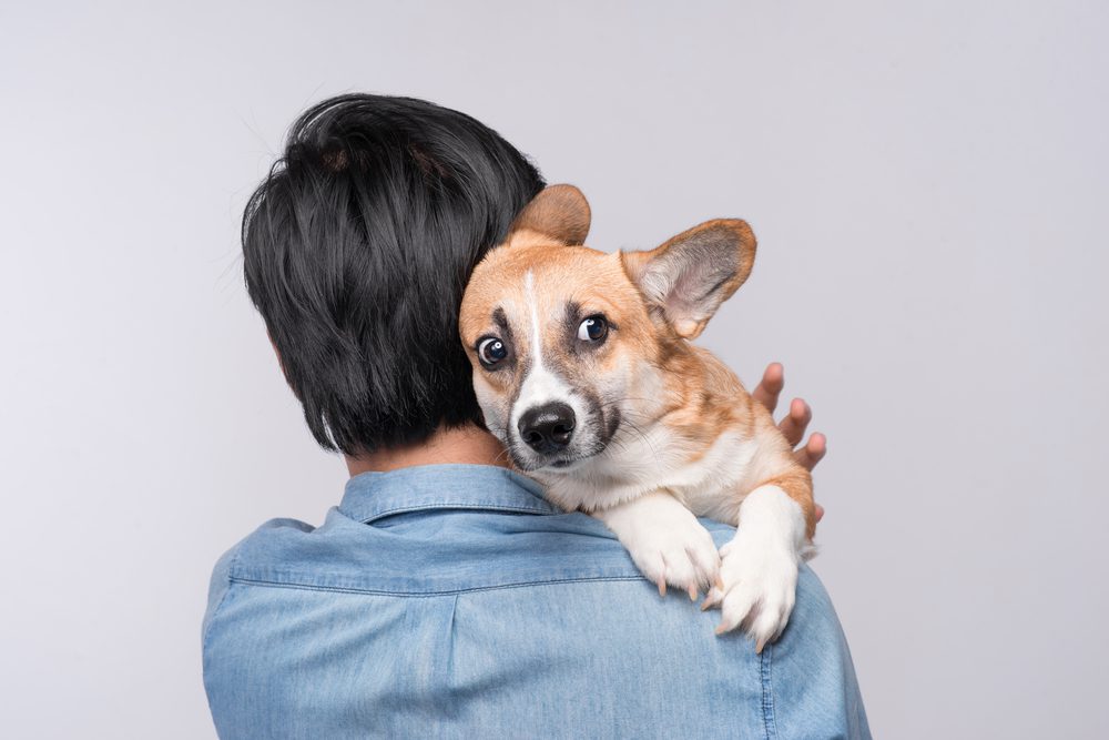 man hugging a scared dog