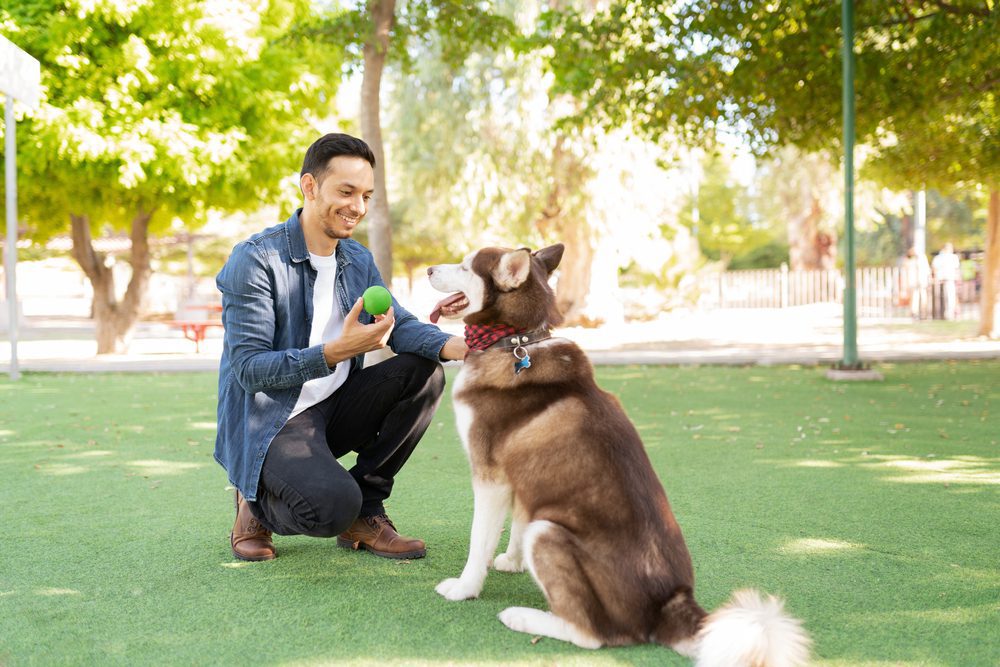 man petting husky in the park