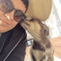 allegra r-california