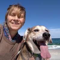 alyson m-pennsylvania