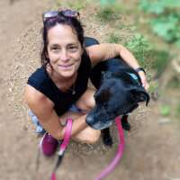 carrie v-connecticut