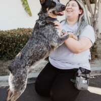 cynthia n-california