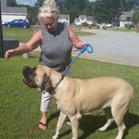 debbie w-south carolina