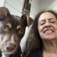 donna l-massachusetts