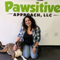 evelia r-connecticut