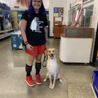 genevieve b-colorado