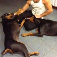 joseph e-massachusetts