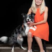 journee a-north carolina