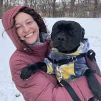 mercedes m-minnesota