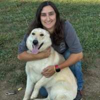 michelle m-tennessee