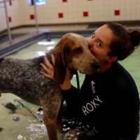 nicole d-massachusetts