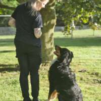 rachel m-pennsylvania