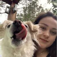 sophia s-california 1