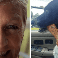 tana r-north carolina