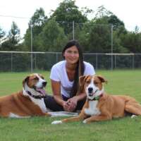 tiffany s-north carolina